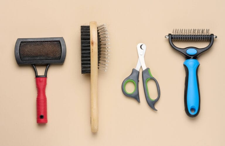 5 Grooming Tools a Dog Parent Must Have